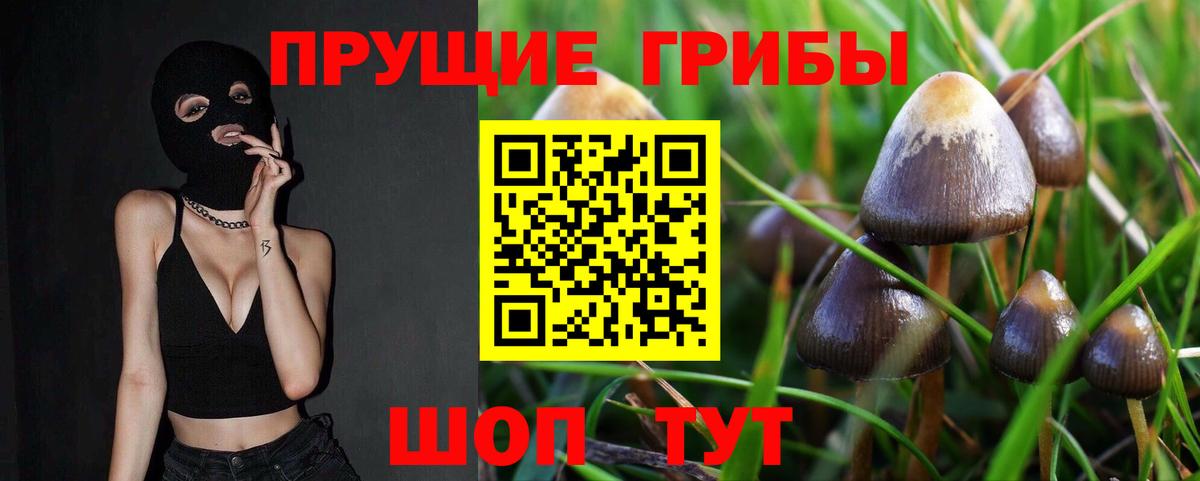 Галлюциногенные грибы Psilocybine cubensis  Псилоцибиновые грибы MAGIC MUSHROOMS  Вход с VPN  купить наркоту  Саранск 